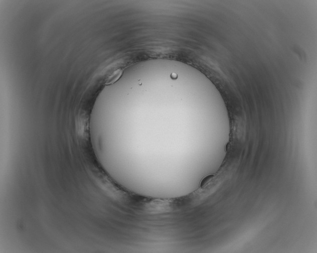 X0000115240138200911131712