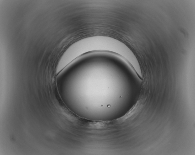 X0000115240140200911131712