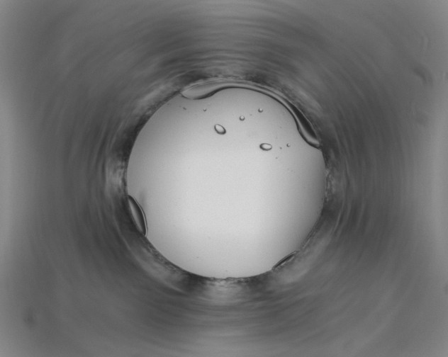 X0000115240141200911131712