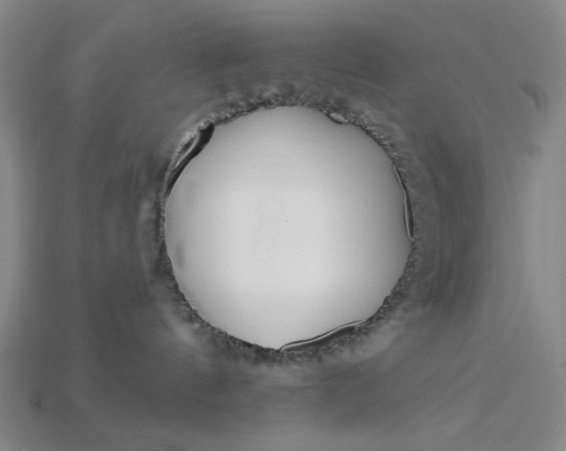 X0000115240144200911131712