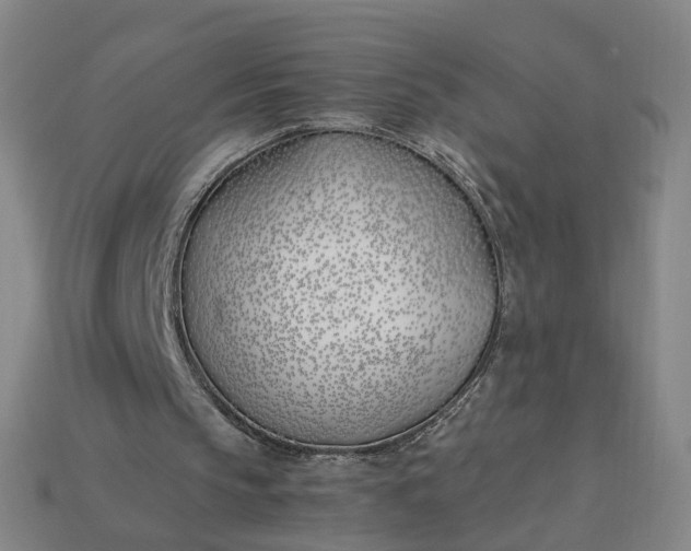 X0000115240145200911131711