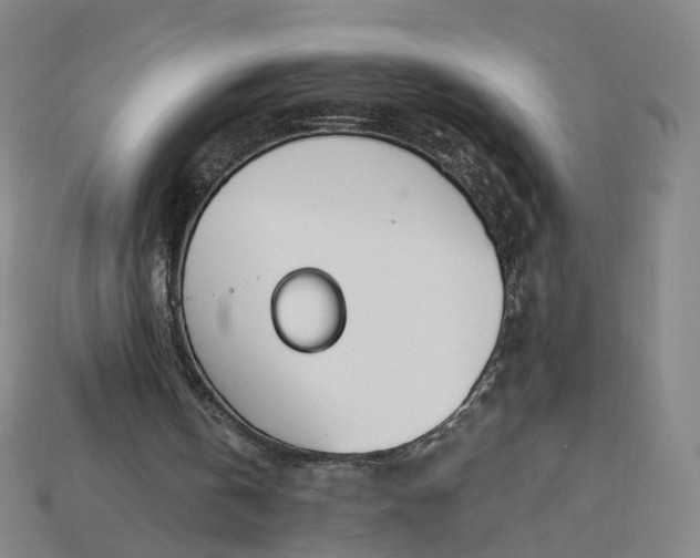 X0000115240146200911131711