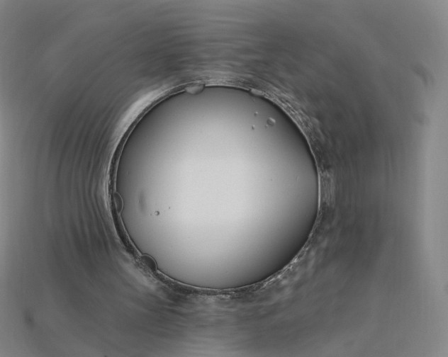 X0000115240147200911131711