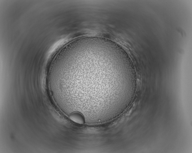 X0000115240149200911131711