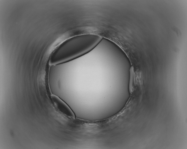 X0000115240150200911131711