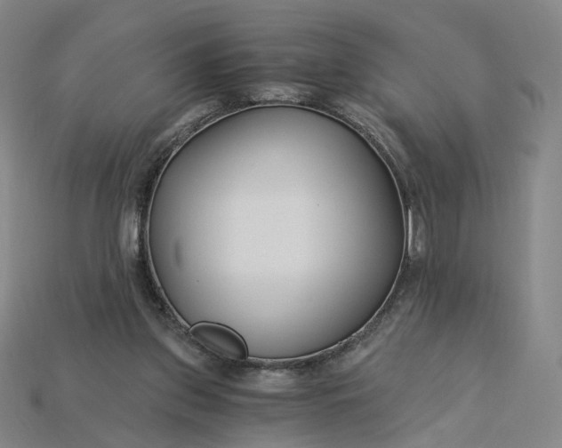 X0000115240157200911131711