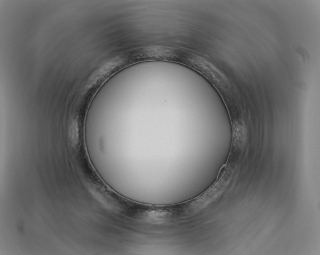 X0000115240158200911131711