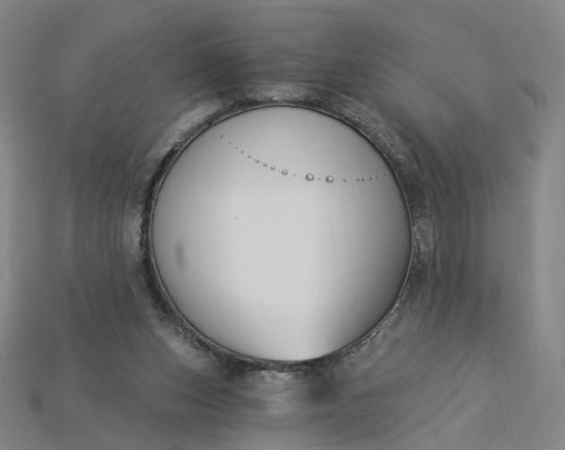 X0000115240159200911131711