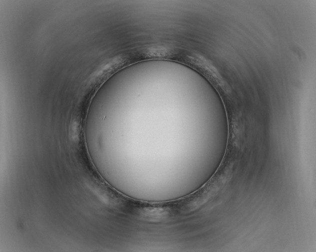 X0000115240161200911131711