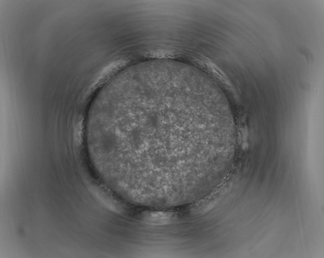X0000115240163200911131711