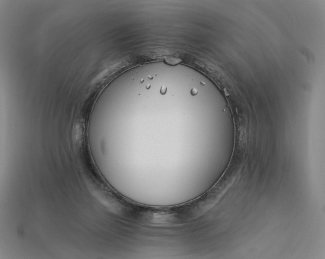 X0000115240165200911131711