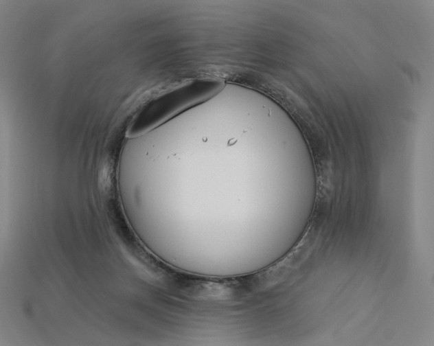 X0000115240166200911131711
