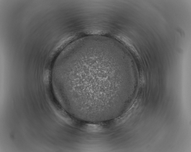 X0000115240167200911131711