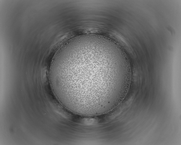 X0000115240169200911131711