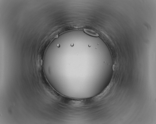X0000115240170200911131711