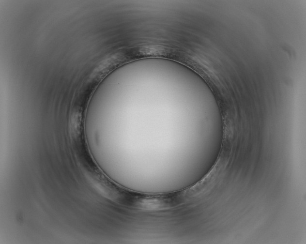 X0000115240171200911131711