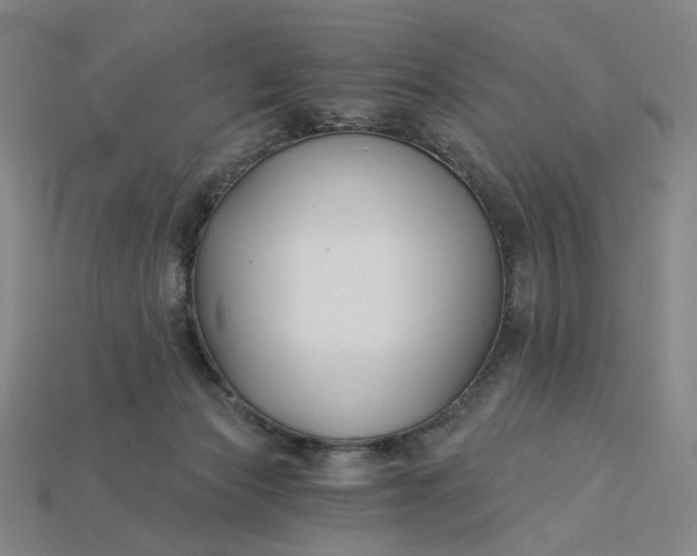 X0000115240173200911131711