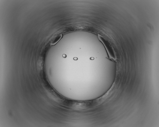 X0000115240174200911131711
