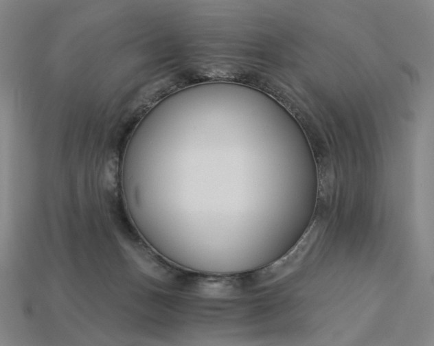 X0000115240175200911131711