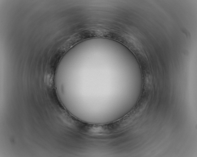 X0000115240177200911131711