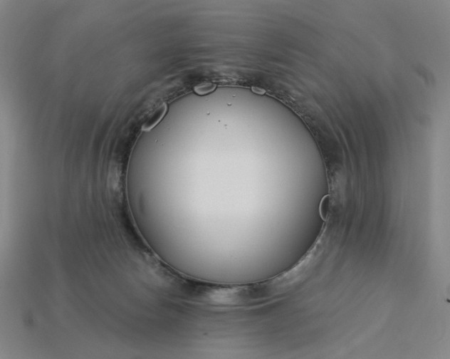 X0000115240178200911131711