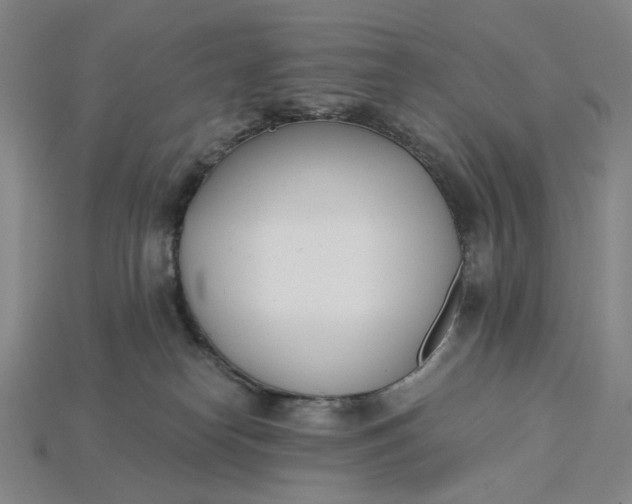 X0000115240182200911131712