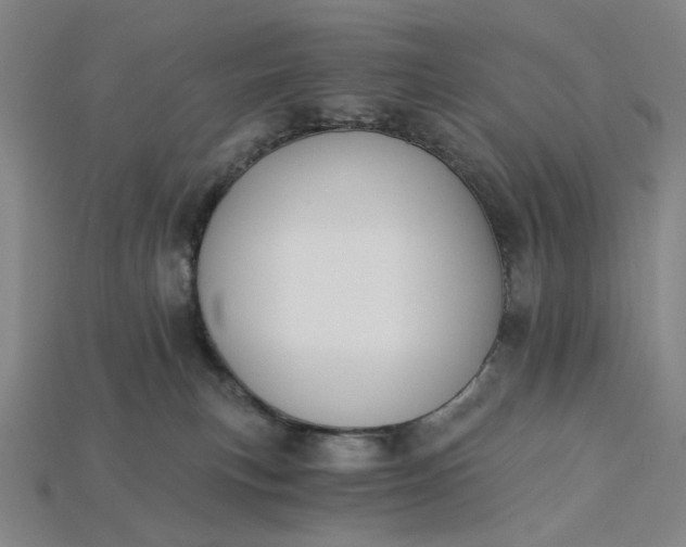 X0000115240183200911131712