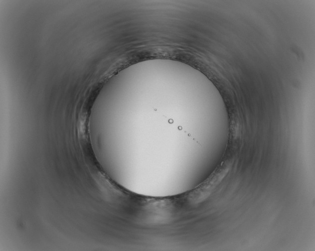 X0000115240185200911131712