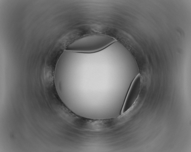X0000115240186200911131712