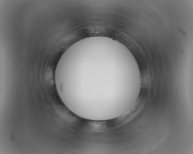 X0000115240187200911131712