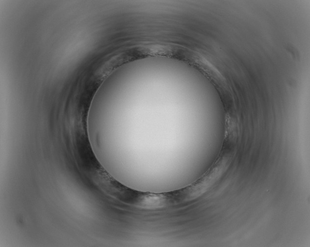 X0000115240189200911131712