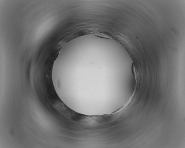 X0000115240190200911131712