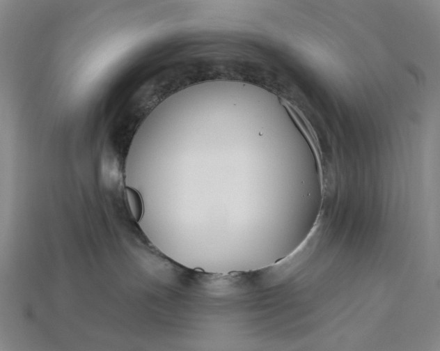 X0000115240191200911131712