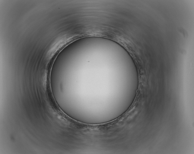 X0000115240194200911131711