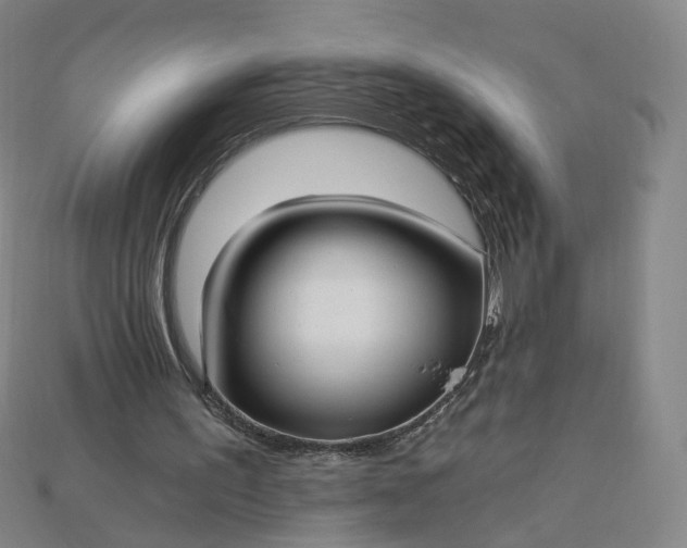 X0000115240195200911131711
