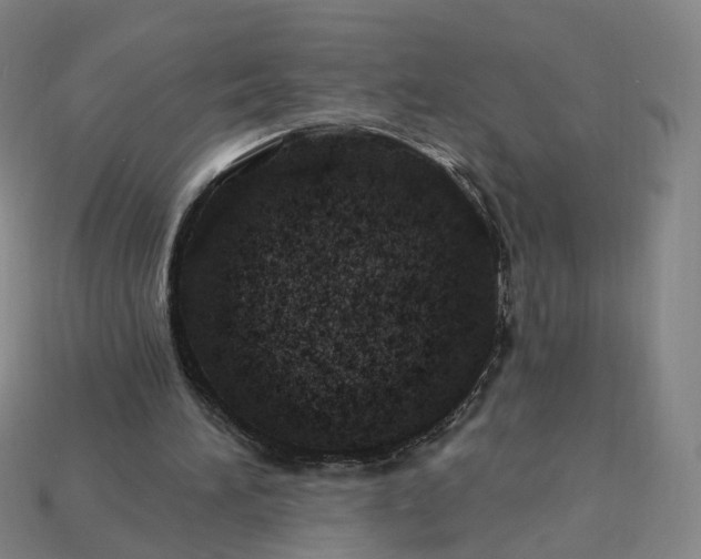X0000115240196200911131711