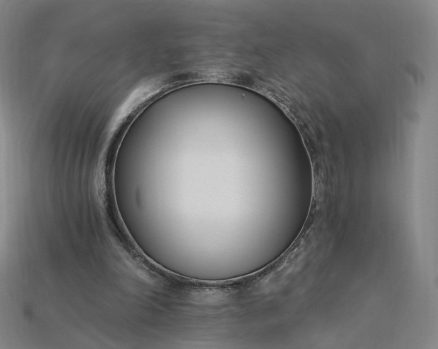 X0000115240198200911131711