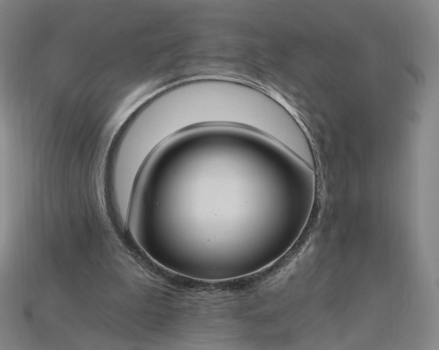 X0000115240199200911131711