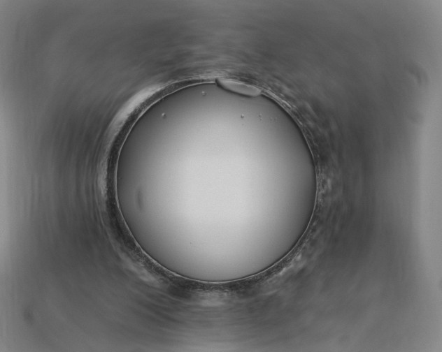 X0000115240200200911131711