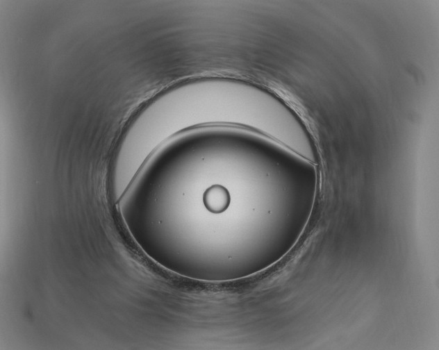 X0000115240201200911131711