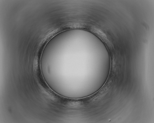 X0000115240202200911131711