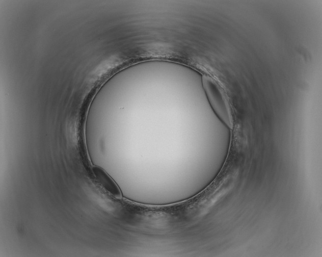 X0000115240203200911131711