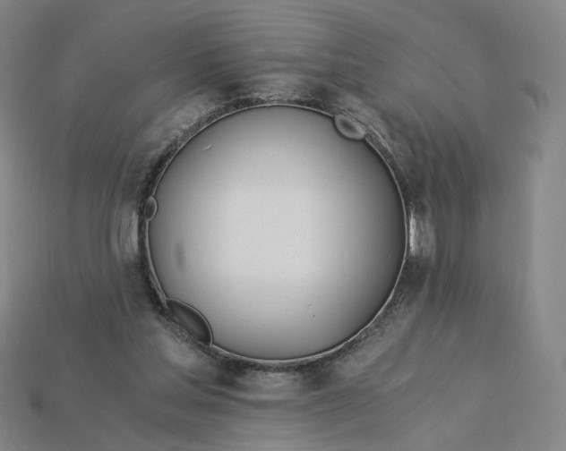 X0000115240205200911131711