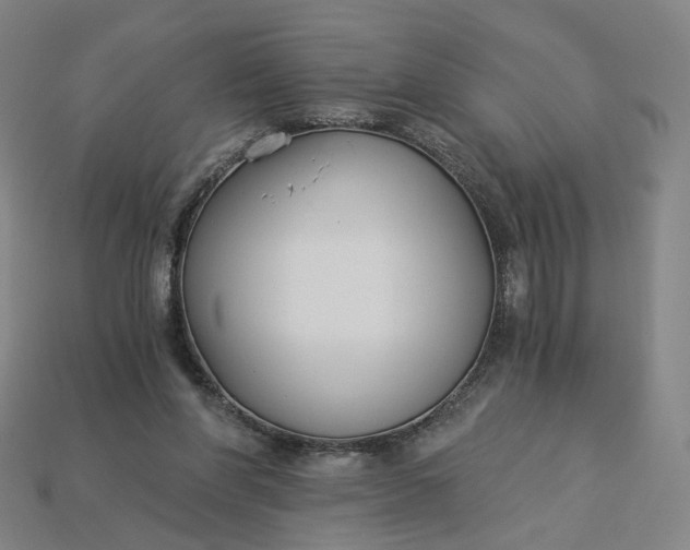 X0000115240206200911131711