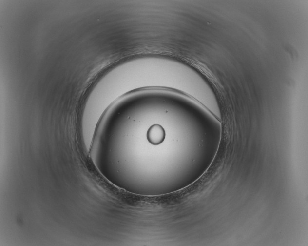 X0000115240207200911131711