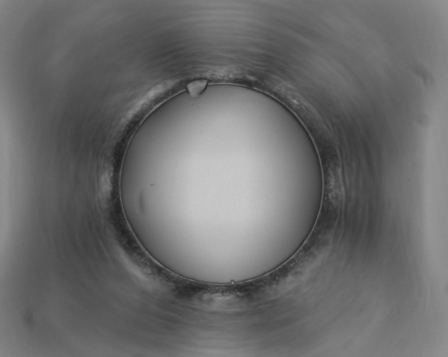 X0000115240208200911131711