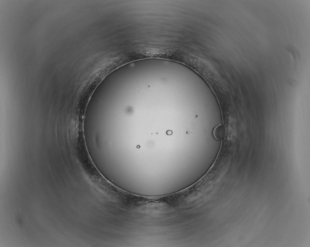 X0000115240210200911131711