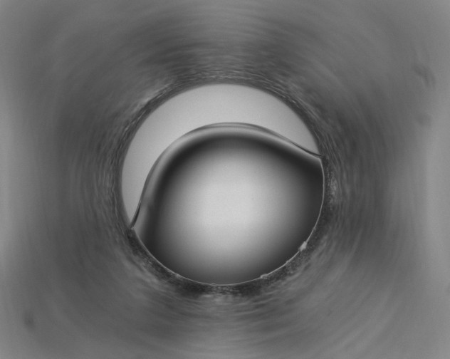 X0000115240211200911131711