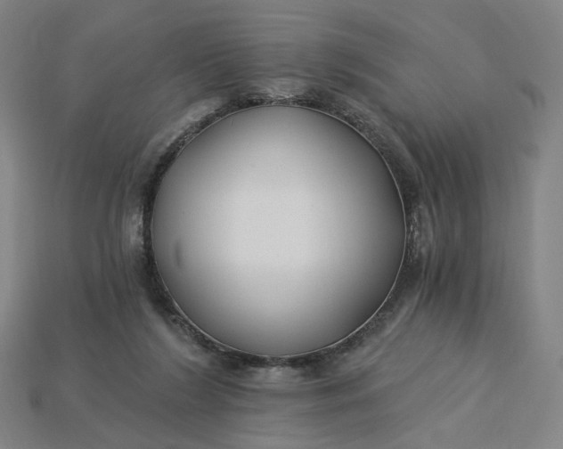 X0000115240212200911131711
