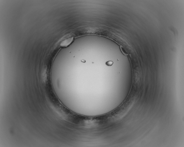 X0000115240216200911131711